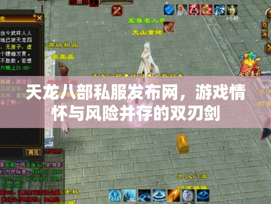 天龙八部私服发布网，游戏情怀与风险并存的双刃剑