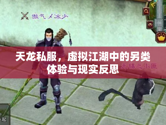 天龙私服，虚拟江湖中的另类体验与现实反思
