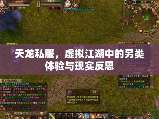 天龙私服，虚拟江湖中的另类体验与现实反思