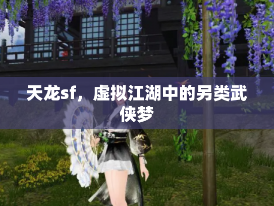 天龙sf，虚拟江湖中的另类武侠梦