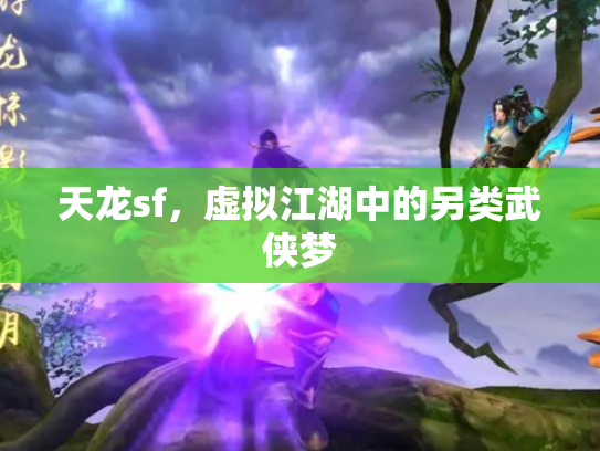 天龙sf，虚拟江湖中的另类武侠梦