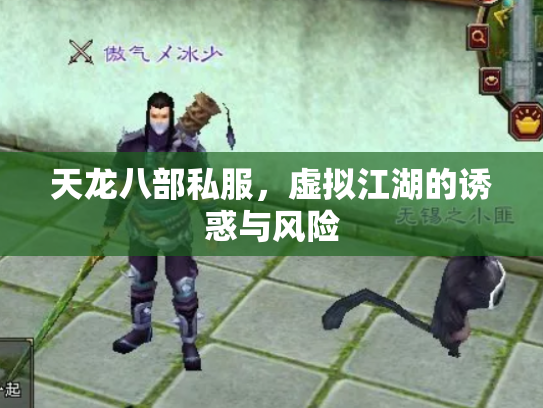 天龙八部私服，虚拟江湖的诱惑与风险