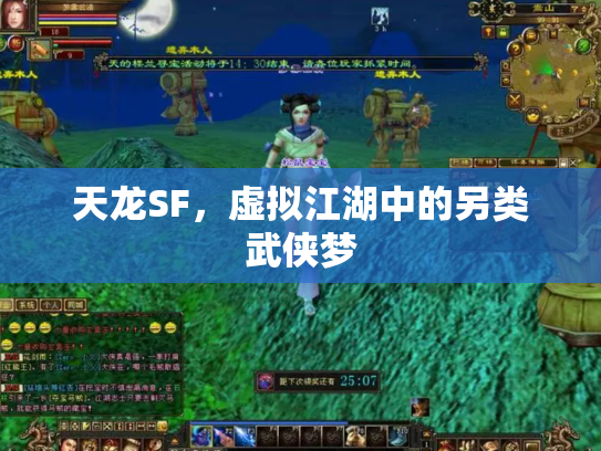 天龙SF，虚拟江湖中的另类武侠梦