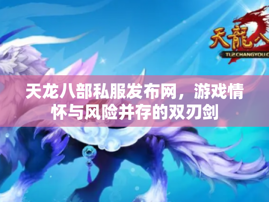 天龙八部私服发布网，游戏情怀与风险并存的双刃剑