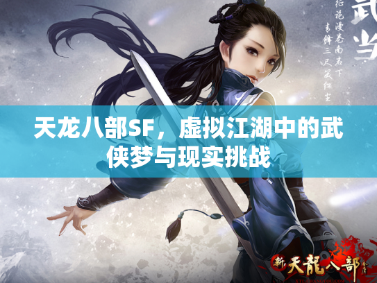 天龙八部SF，虚拟江湖中的武侠梦与现实挑战