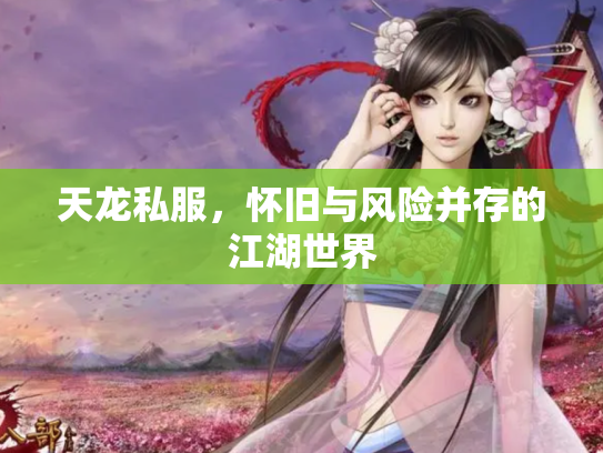 天龙私服，怀旧与风险并存的江湖世界