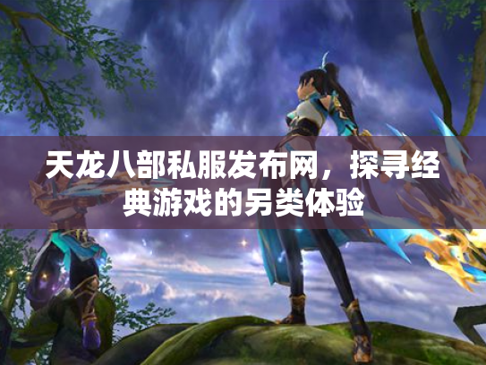 天龙八部私服发布网，探寻经典游戏的另类体验