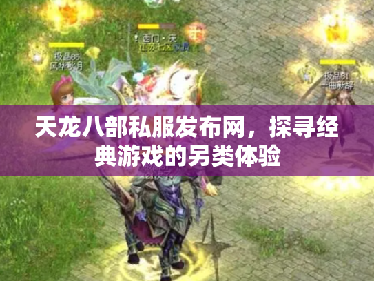 天龙八部私服发布网，探寻经典游戏的另类体验