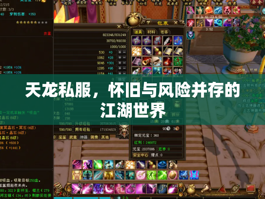 天龙私服，怀旧与风险并存的江湖世界