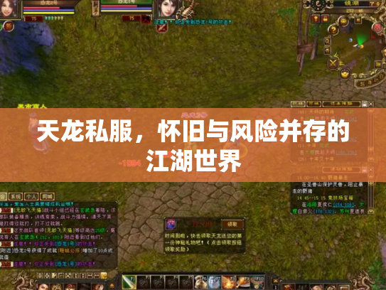 天龙私服，怀旧与风险并存的江湖世界
