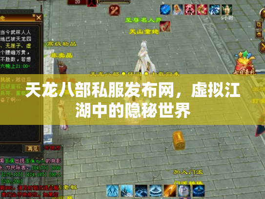 天龙八部私服发布网，虚拟江湖中的隐秘世界