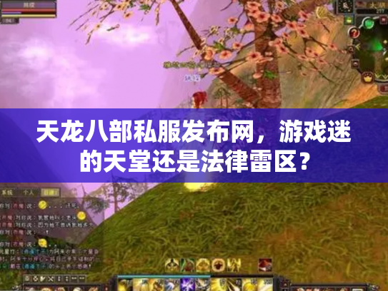 天龙八部私服发布网，游戏迷的天堂还是法律雷区？