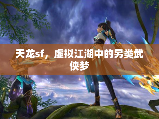 天龙sf，虚拟江湖中的另类武侠梦