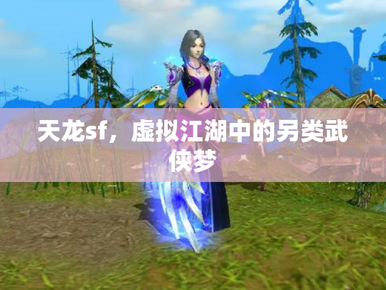天龙sf，虚拟江湖中的另类武侠梦