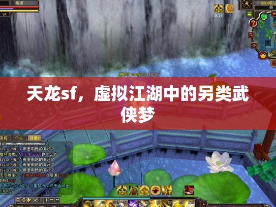 天龙sf，虚拟江湖中的另类武侠梦
