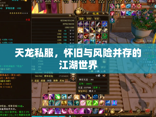 天龙私服，怀旧与风险并存的江湖世界