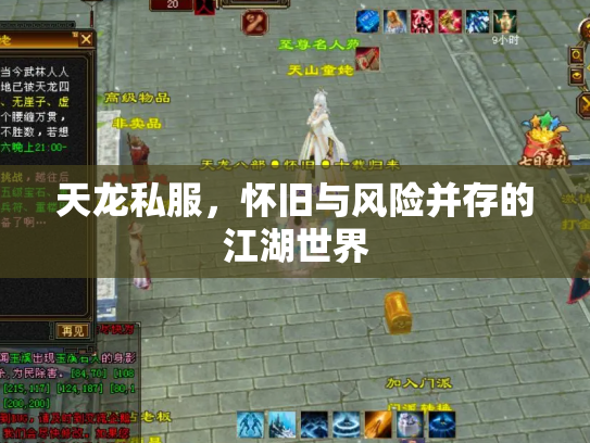 天龙私服，怀旧与风险并存的江湖世界