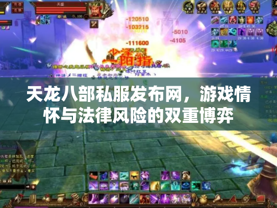 天龙八部私服发布网，游戏情怀与法律风险的双重博弈