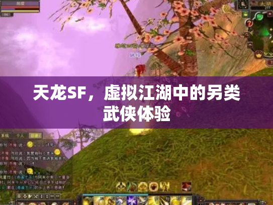 天龙SF，虚拟江湖中的另类武侠体验