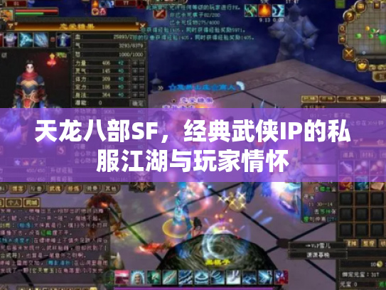 天龙八部SF，经典武侠IP的私服江湖与玩家情怀