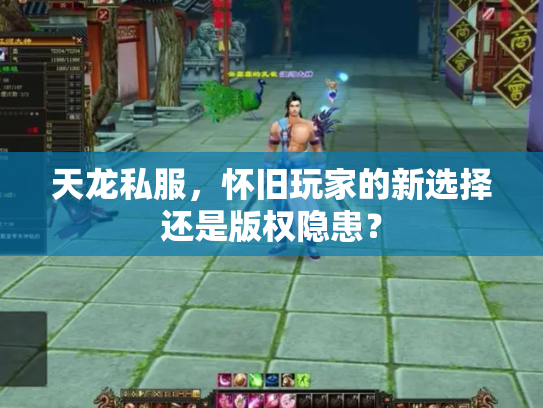 天龙私服，怀旧玩家的新选择还是版权隐患？