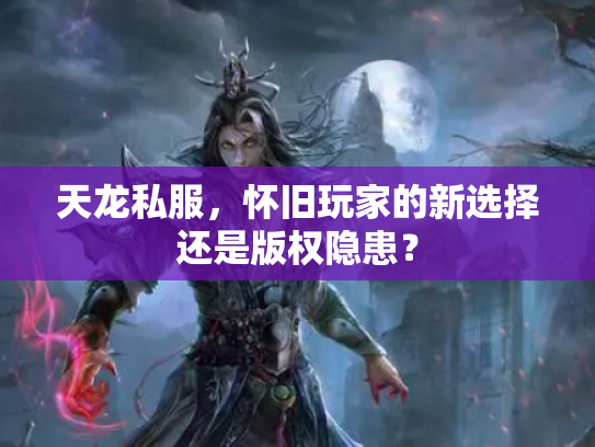 天龙私服，怀旧玩家的新选择还是版权隐患？