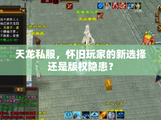 天龙私服，怀旧玩家的新选择还是版权隐患？