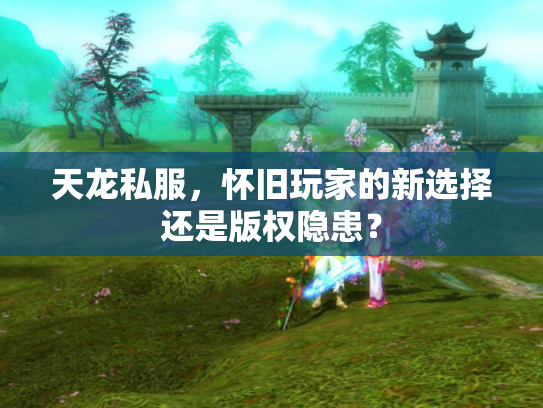 天龙私服，怀旧玩家的新选择还是版权隐患？