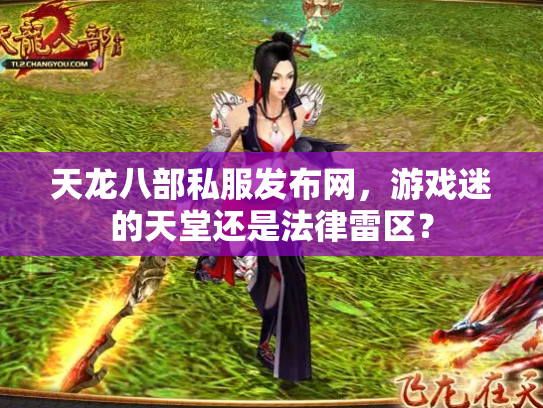 天龙八部私服发布网，游戏迷的天堂还是法律雷区？