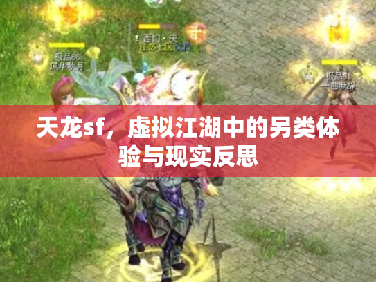 天龙sf，虚拟江湖中的另类体验与现实反思