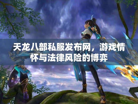 天龙八部私服发布网，游戏情怀与法律风险的博弈