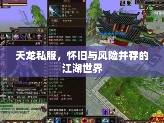 天龙私服，怀旧与风险并存的江湖世界