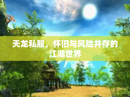 天龙私服，怀旧与风险并存的江湖世界