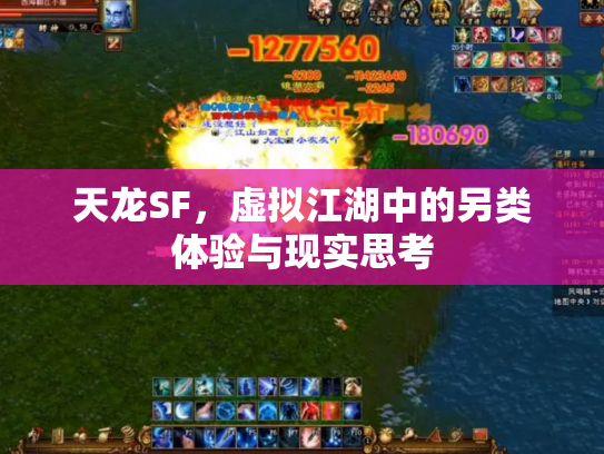 天龙SF，虚拟江湖中的另类体验与现实思考