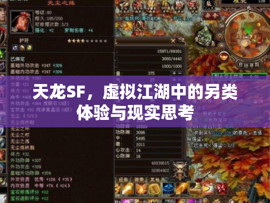 天龙SF，虚拟江湖中的另类体验与现实思考