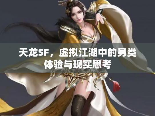 天龙SF，虚拟江湖中的另类体验与现实思考