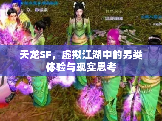 天龙SF，虚拟江湖中的另类体验与现实思考