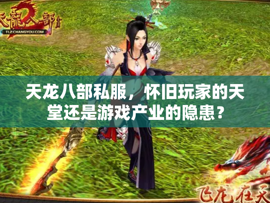 天龙八部私服，怀旧玩家的天堂还是游戏产业的隐患？