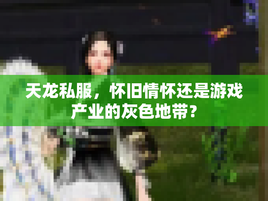 天龙私服，怀旧情怀还是游戏产业的灰色地带？