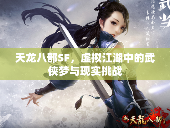 天龙八部SF，虚拟江湖中的武侠梦与现实挑战