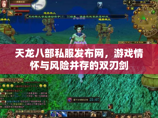 天龙八部私服发布网，游戏情怀与风险并存的双刃剑