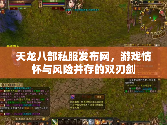 天龙八部私服发布网，游戏情怀与风险并存的双刃剑