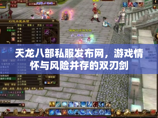 天龙八部私服发布网，游戏情怀与风险并存的双刃剑