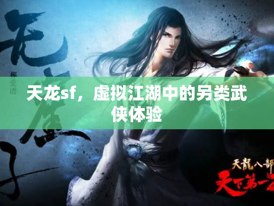 天龙sf，虚拟江湖中的另类武侠体验