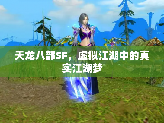 天龙八部SF，虚拟江湖中的真实江湖梦