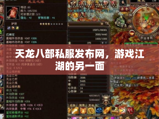 天龙八部私服发布网，游戏江湖的另一面