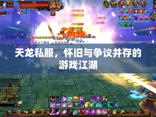 天龙私服，怀旧与争议并存的游戏江湖