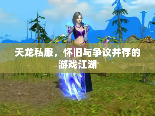天龙私服，怀旧与争议并存的游戏江湖