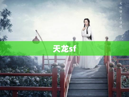 天龙sf