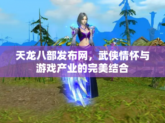 天龙八部发布网，武侠情怀与游戏产业的完美结合